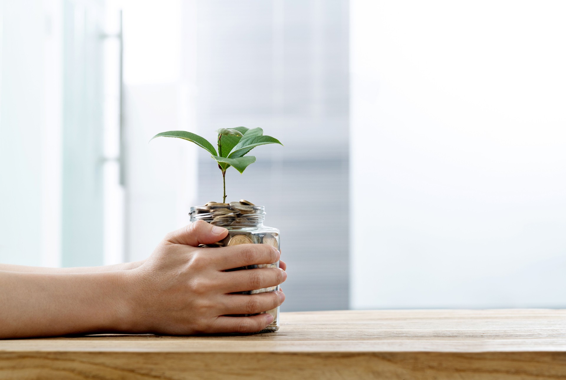 Woman hands holing a jar with coins and plant