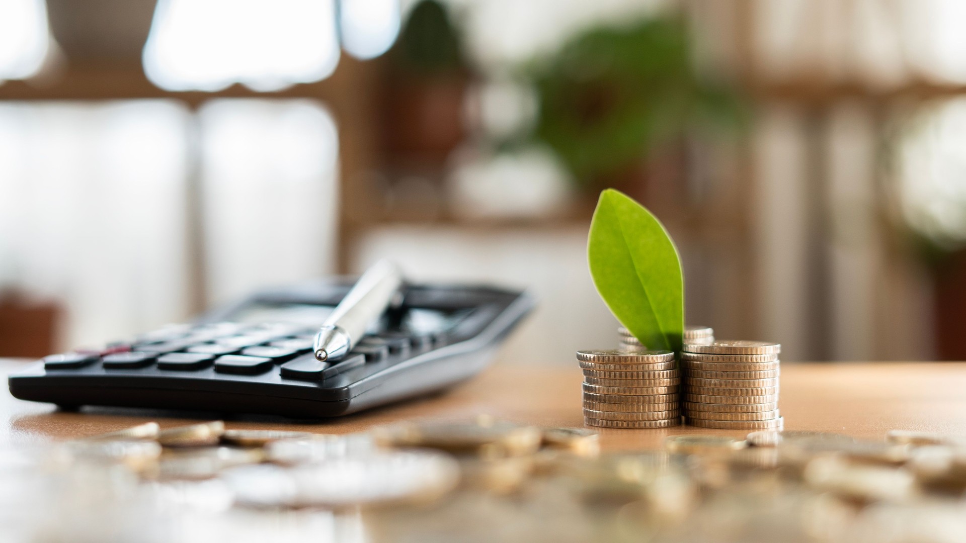 plant seedling disorders and calculator on the table at home