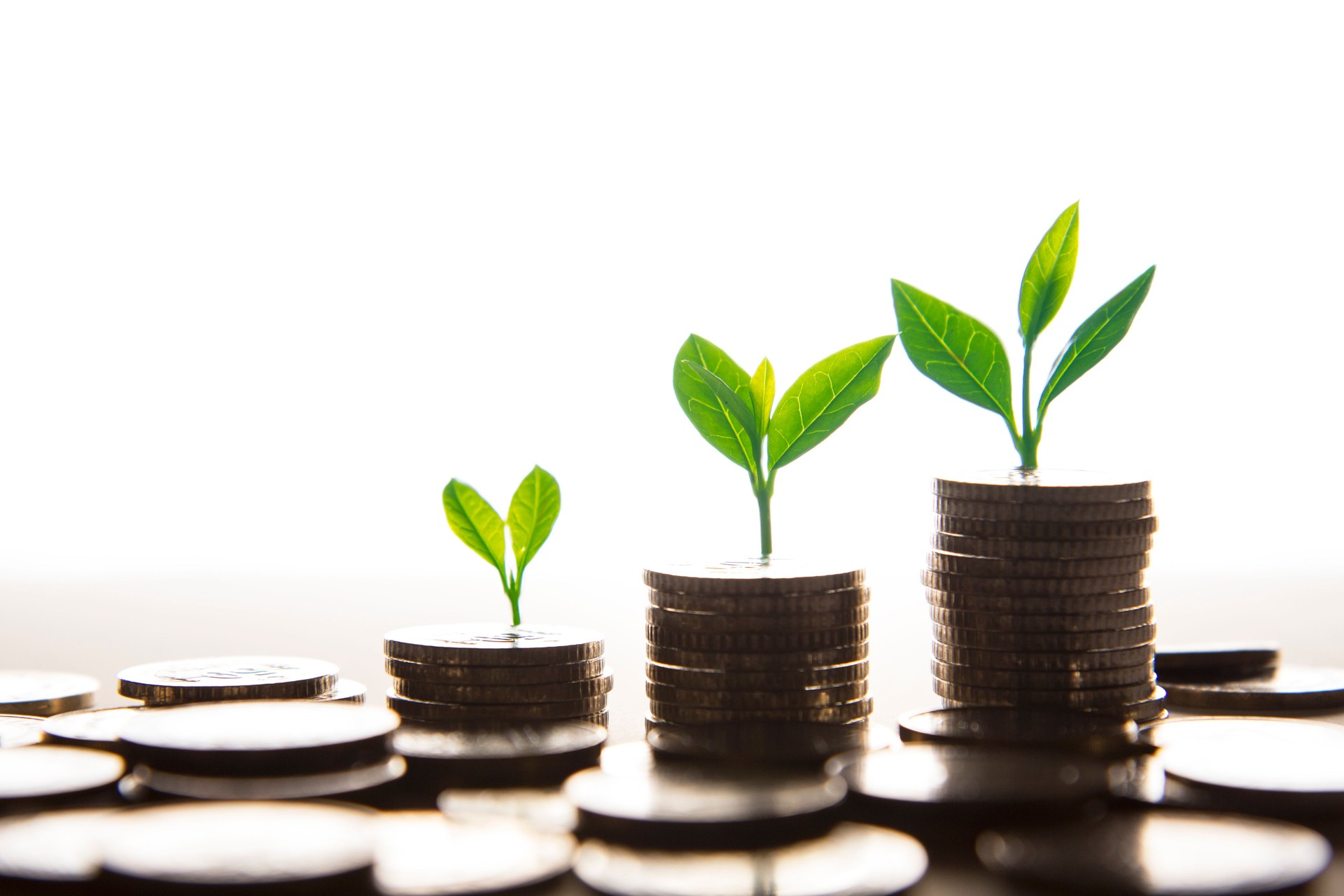 Trees Growing On Pile Of Coins